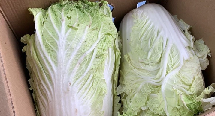 包心菜保鲜秘诀
