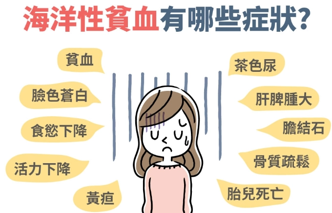 地中海貧血營養品推薦