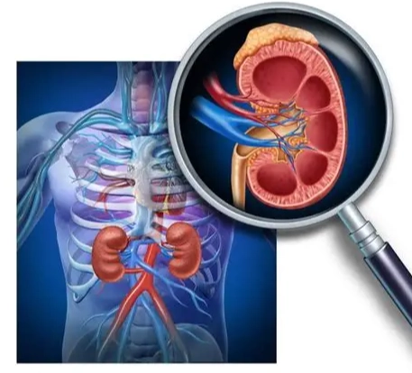 腎功能衰退症狀