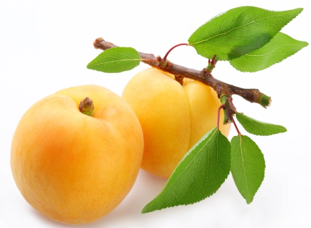 腎臟病飲食水果