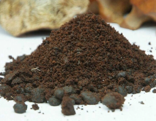 如何描述麝香氣味