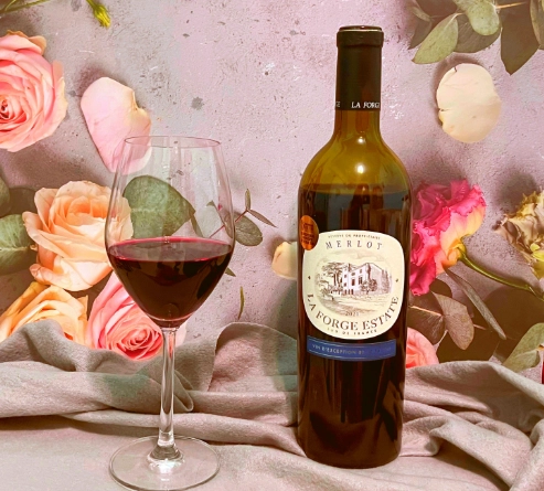 腎臟病患者可以喝紅酒嗎？醫師解析風險、安全飲用量與替代方案