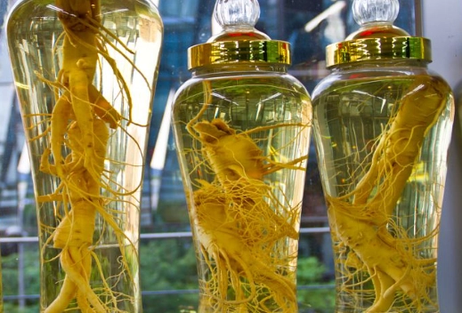 蜈蚣酒精完整指南：功效、製作與安全使用全解析