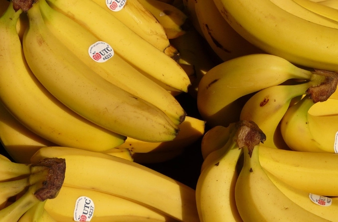 甲狀腺低下 水果