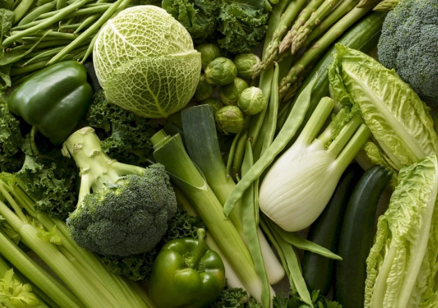 植物性鐵質 吸收