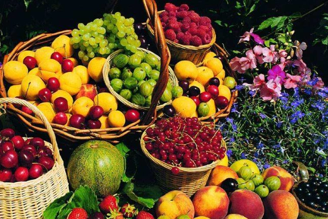 腎臟病飲食水果