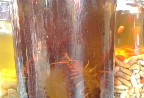 蜈蚣浸泡酒