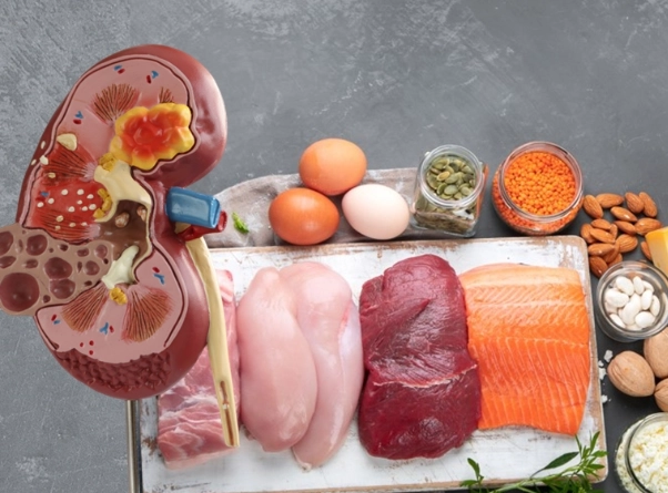 腎臟病營養補充