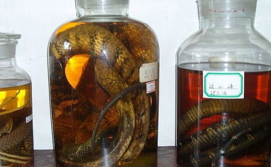 蜈蚣藥酒