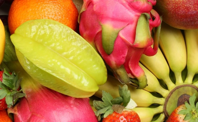 腎臟病飲食水果