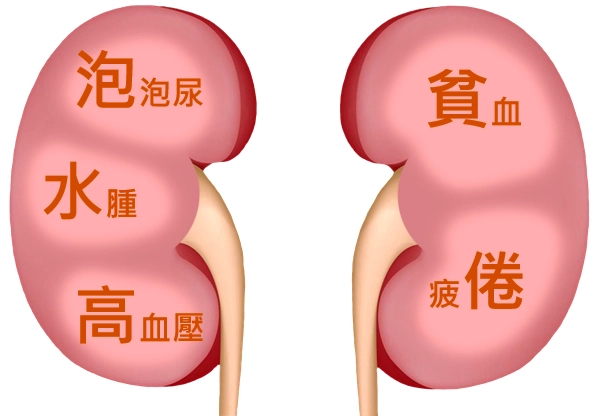 慢性肾脏病饮食