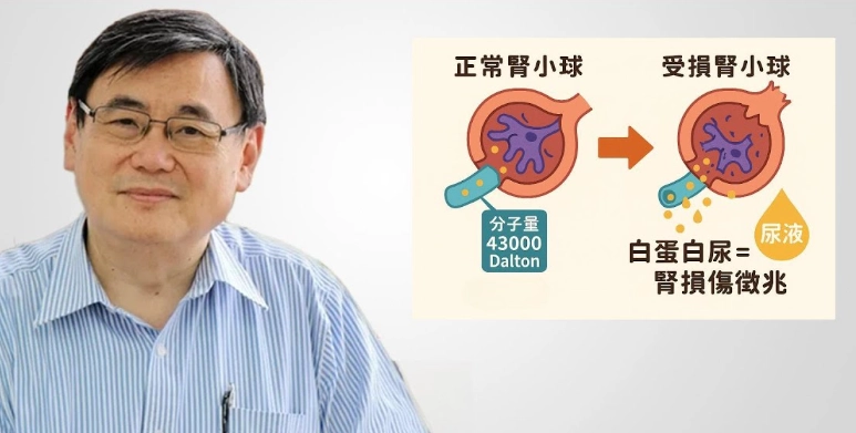 腎功能提升方法