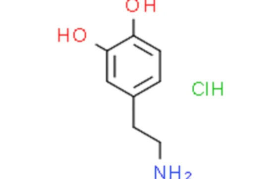 酒多巴胺解密：掌握微醺藝術，釋放快樂的科學與實踐