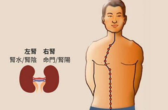 腎功能不佳飲食