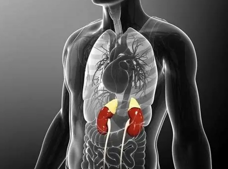 慢性腎臟病 慢性腎臟病