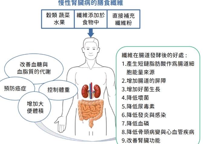 改善腎功能飲食