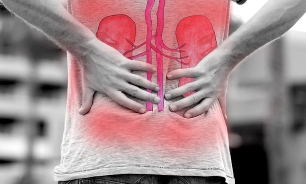 如何提升腎功能：5個實用方法與日常保養全攻略