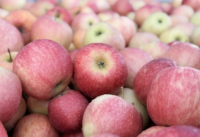 蘋果對胃的影響