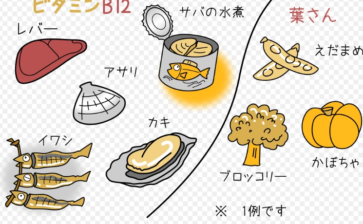 貧血補充品推薦