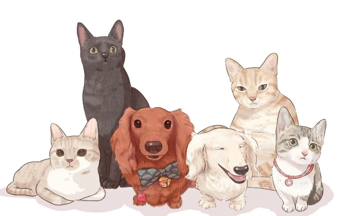 貓咪胰臟炎會好嗎？獸醫解析治療關鍵與預後真相