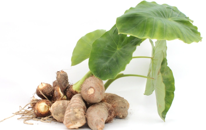 芋頭冷凍方法 芋頭冷凍方法