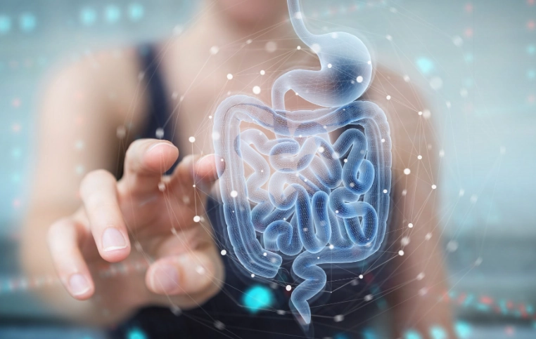 腸道健康