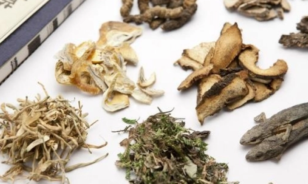 養胃中藥方終極指南：從經典方到個人調養，告別胃痛困擾