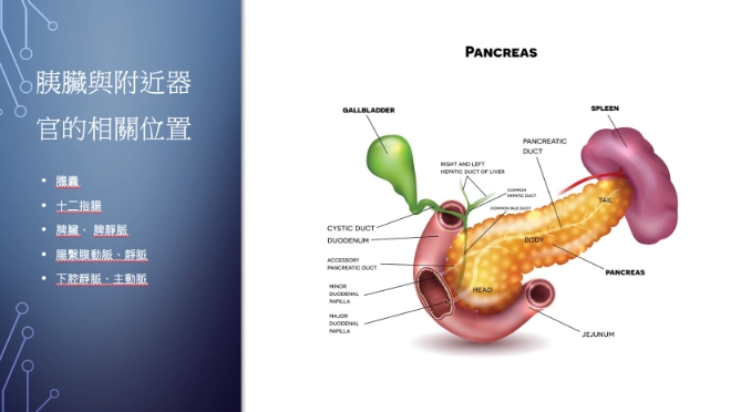 多囊性卵巢飲食