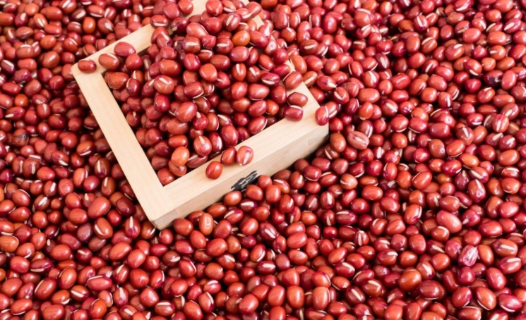 紅豆營養分類