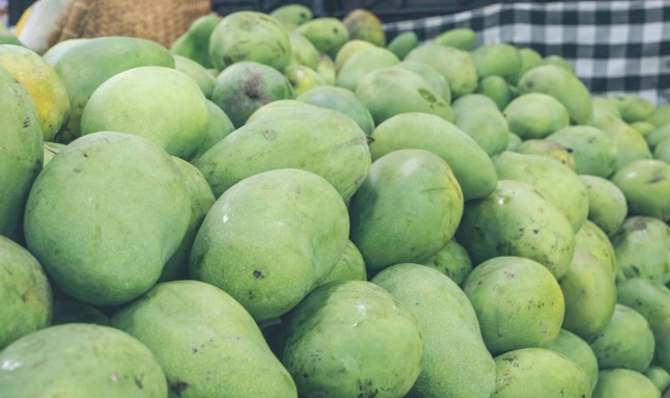 骨折可以吃芒果嗎？骨科醫師與營養師的完整飲食指南