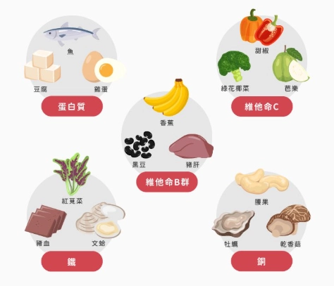 補血吃什麼保健食品