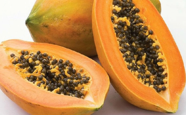 骨折可以吃木瓜嗎？營養師解析木瓜對骨骼修復的關鍵影響