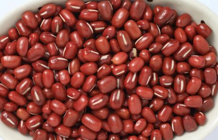 紅豆屬於碳水化合物嗎