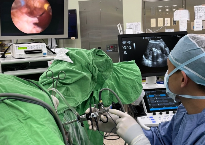 子宮肌腺症治療