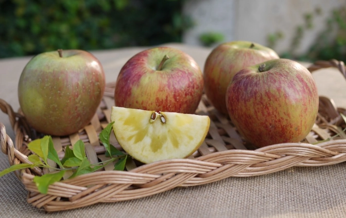 孕婦適合吃什麼水果？營養師推薦5種必吃水果與安全指南