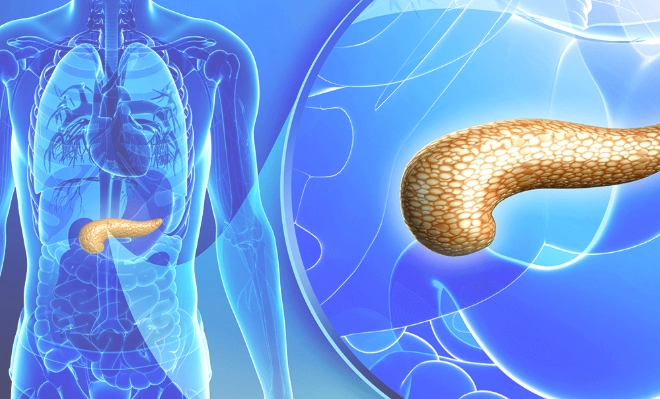胰臟炎抽血檢查全解析：關鍵項目、費用與報告解讀