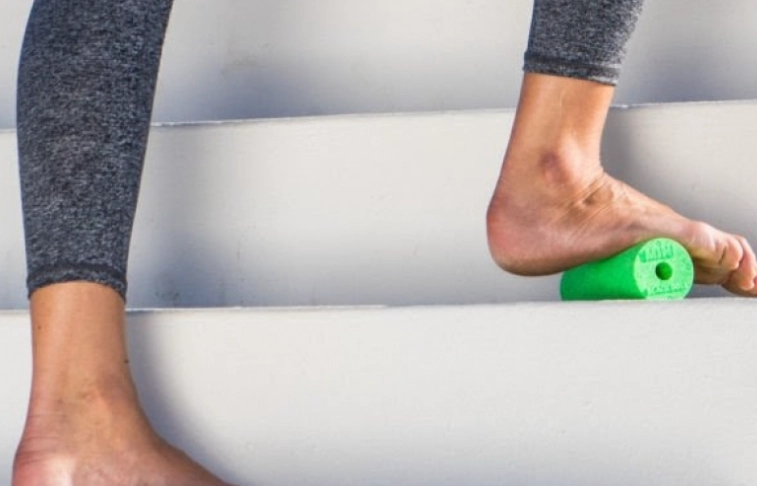 鹧鸪汤功效与禁忌