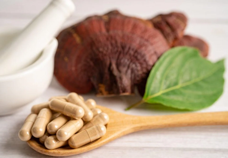 靈芝功效中醫全解析：選購、食用、禁忌一次看懂