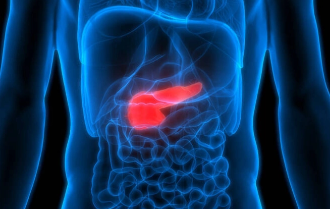 胰臟炎檢查費用