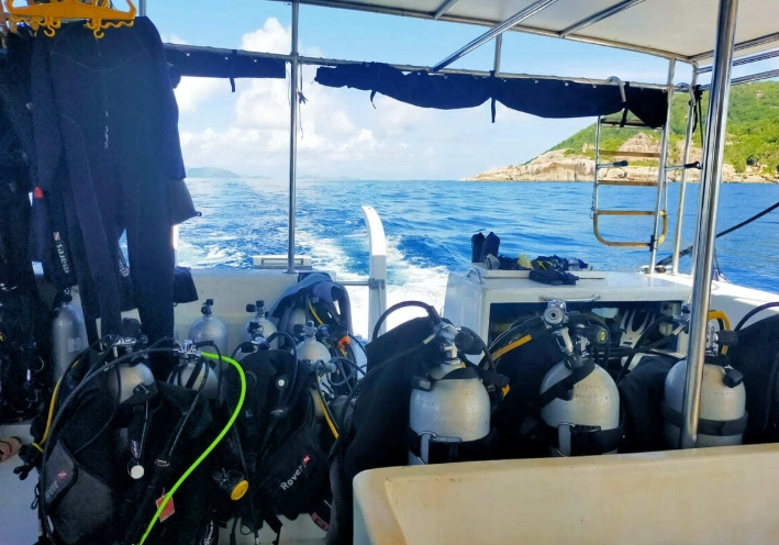 潛水衣裡面穿什麼？資深潛水教練的完整穿著指南與常見錯誤解析