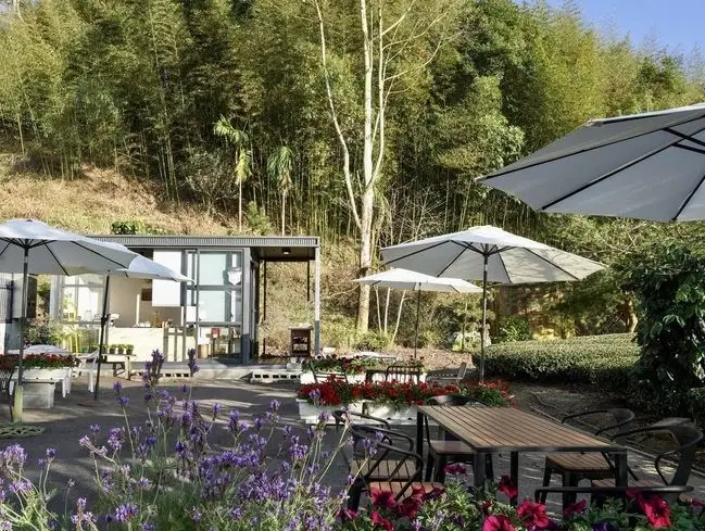 嘉義喝咖啡看風景：5家絕美景觀咖啡廳推薦與行程全攻略