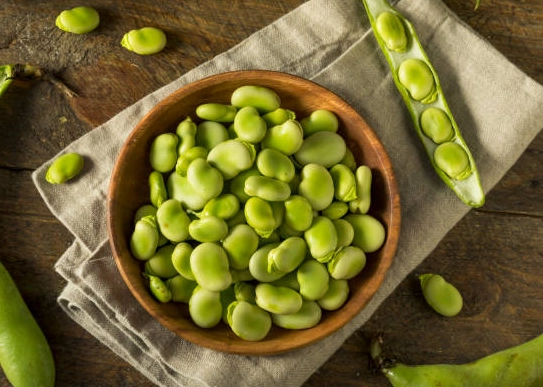 蠶豆症會自己好嗎 蠶豆症會自己好嗎