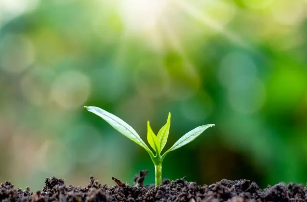 如何選擇植化素保健品