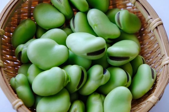 G6PD缺乏症 壽命