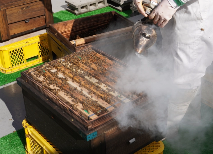 虎頭蜂煙燻料理