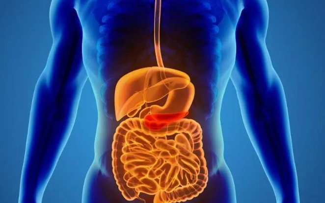 胰島素 治療 胰臟炎