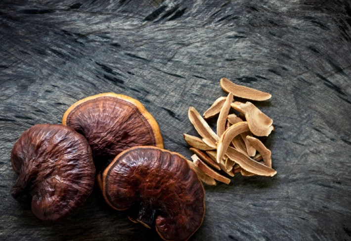 赤靈芝副作用全解析：風險、禁忌與安全食用指南