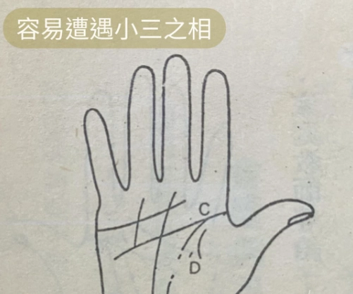 手相書推薦：從入門到進階，精選五本必讀經典指南