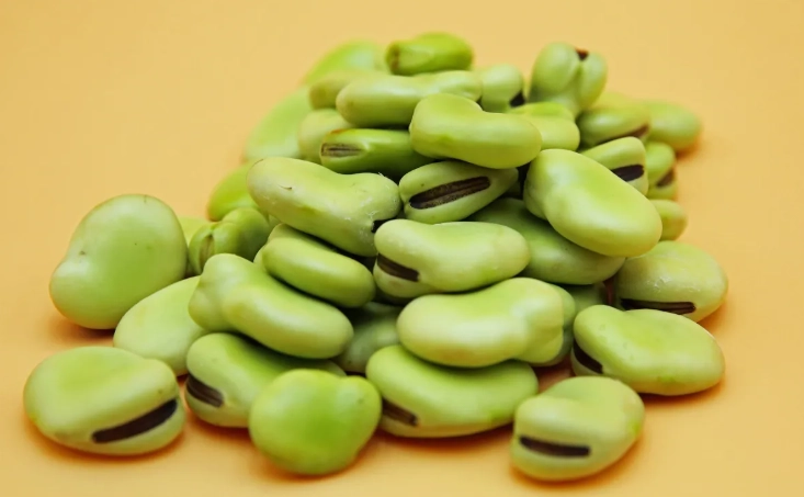 蠶豆症可以吃花生嗎？專家解析與完整飲食指南