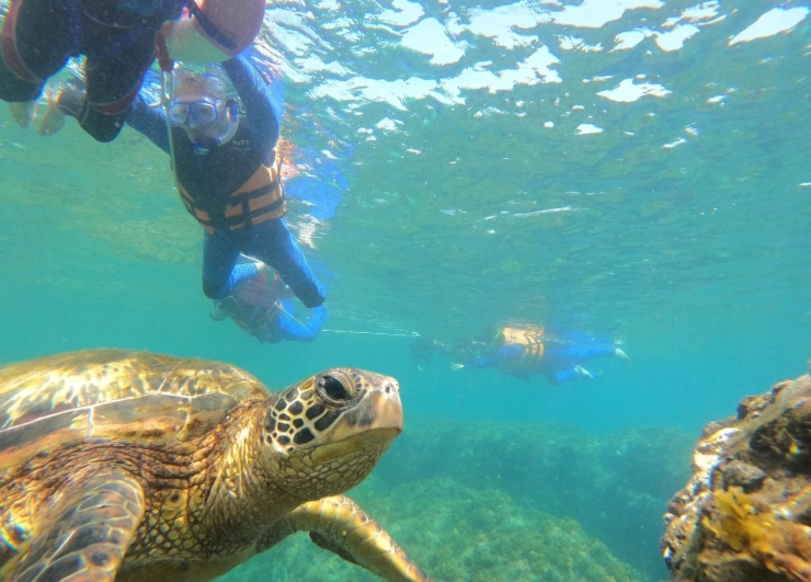 小琉球三天兩夜套裝行程推薦：海洋生態、美食與住宿全攻略